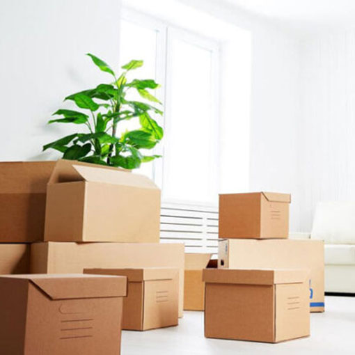 Move In / Move Out Cleaning